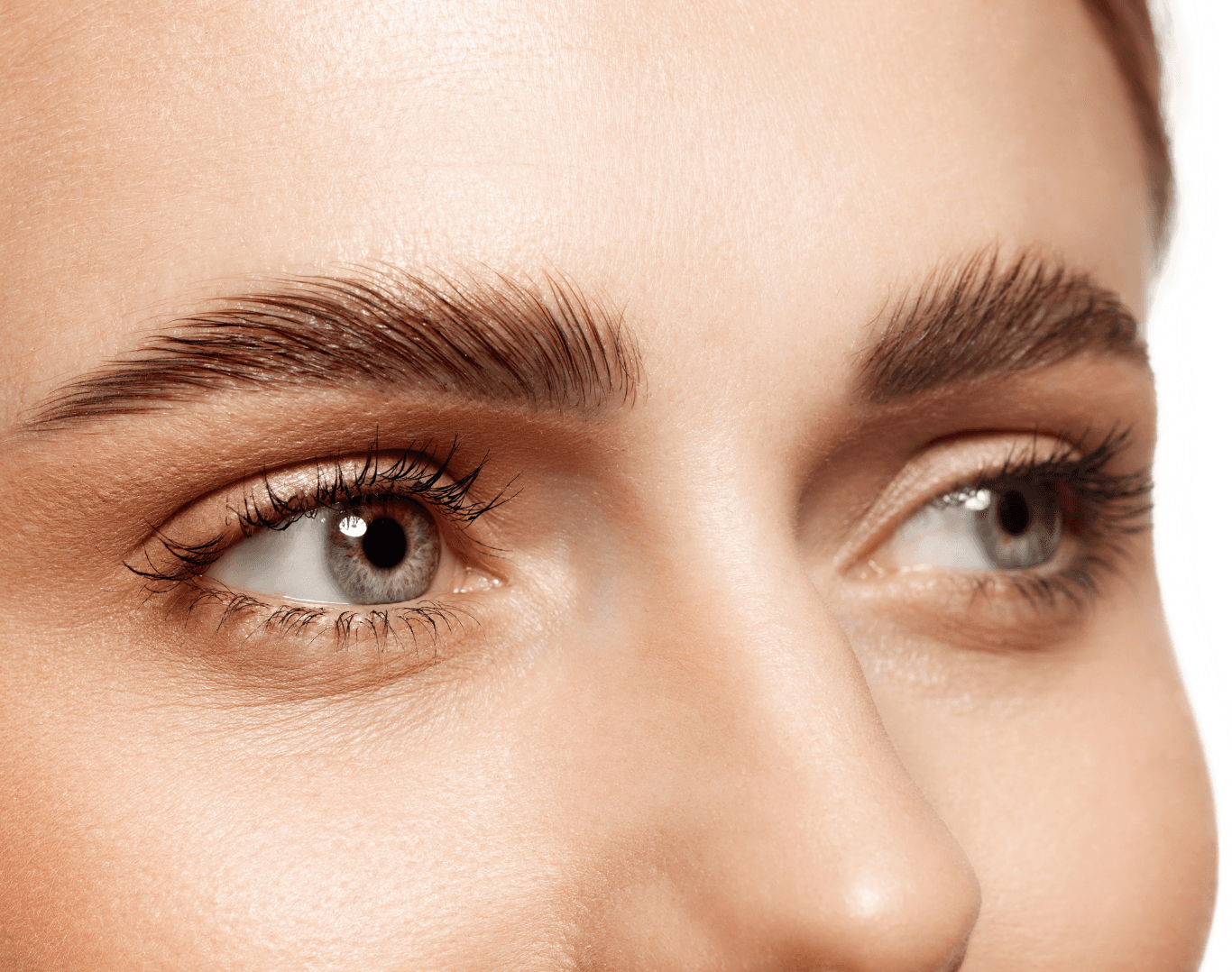 Close-up of professionally laminated brows at The Beauty Spot in Wadebridge