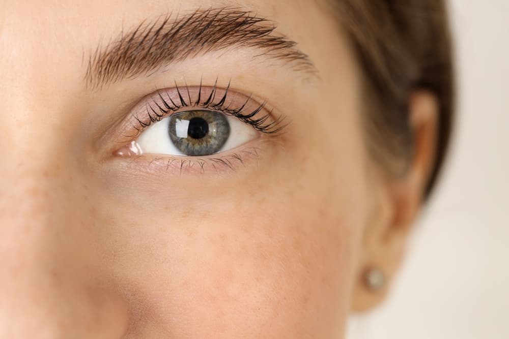 Defined lashes and brows after tinting treatment at The Beauty Spot in Wadebridge